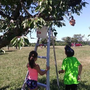 Meet your Posher, Fallon